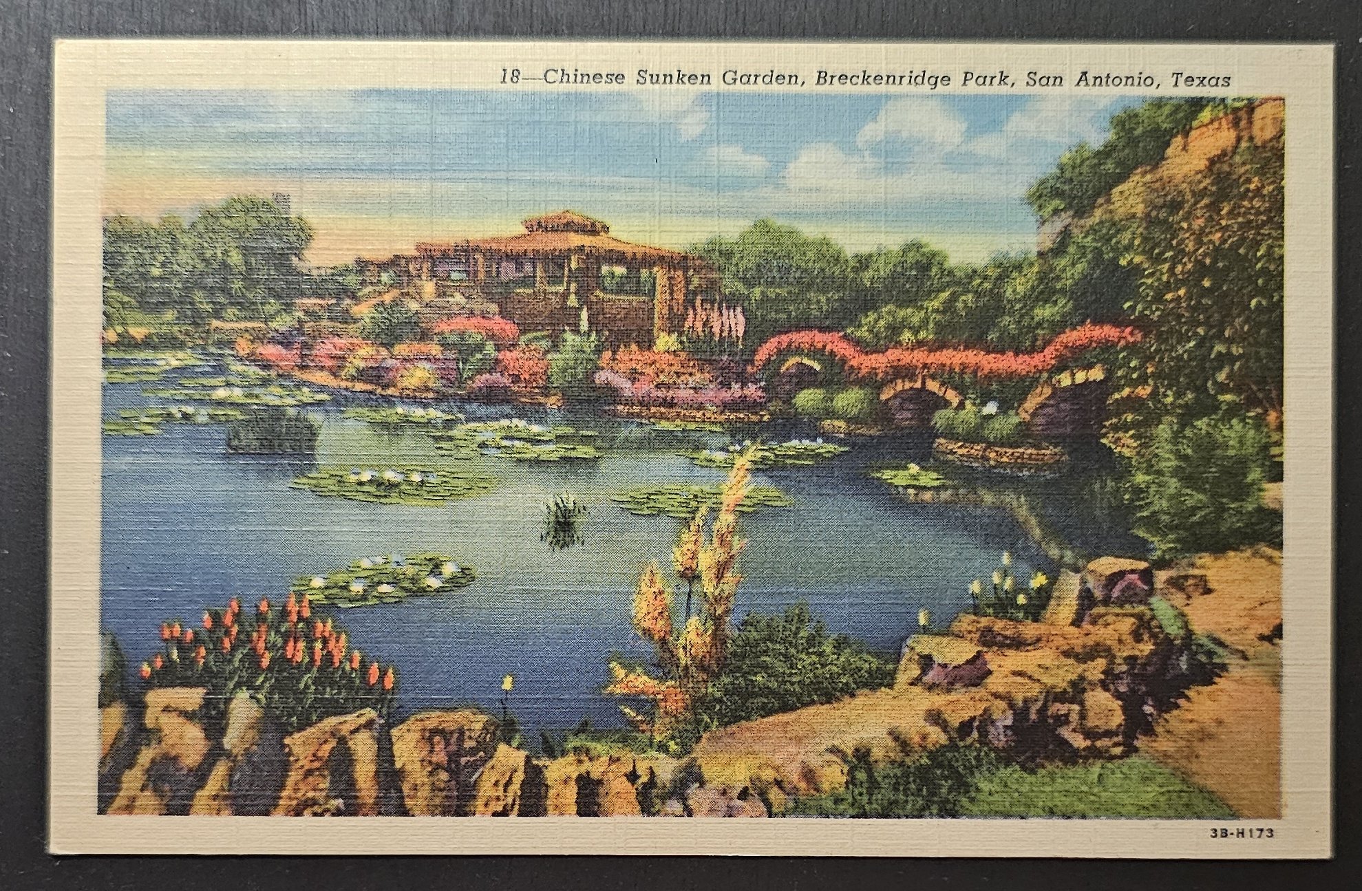 (image for) postcard USA - TX - Texas #0010